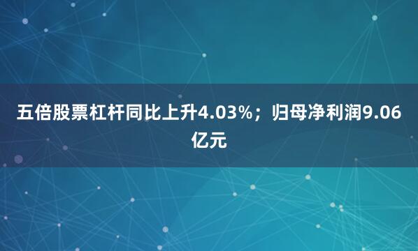 五倍股票杠杆同比上升4.03%；归母净利润9.06亿元