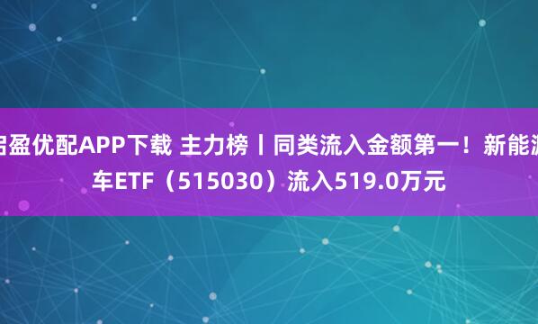 启盈优配APP下载 主力榜丨同类流入金额第一！新能源车ETF（515030）流入519.0万元